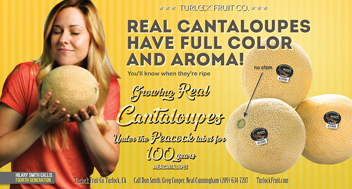 Real Cantaloupe Aroma Ad