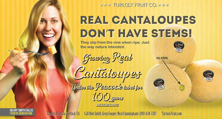 Real Cantaloupe No Stem Ad